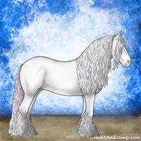 Horse Color:Watercolor Palomino Dun Sabino 