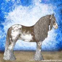 Horse Color:Chocolate Palomino Ice Sabino Splash Frame Appaloosa 