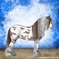 Horse Color:Liver Chestnut Sabino Tobiano Frame 
