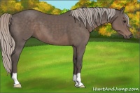 Horse Color:Silver Black 