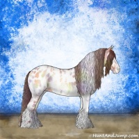 Horse Color:Nacre Bay Ice Onyx Tobiano Appaloosa 