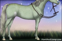 Horse Color:Palomino Dun 