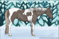 Horse Color:Silver Black Tobiano