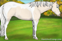 Horse Color:Silver Perlino Tobiano Rabicano