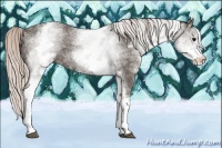 Horse Color:White Spotted Silver Black 