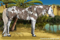 Horse Color:White Spotted Liver Red Dun Splash 