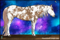 Horse Color:Gray Liver Red Dun Sabino 