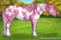 Horse Color:Watercolor White Spotted Chestnut 