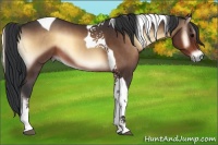 Horse Color:Brown Onyx Tobiano