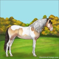 Horse Color:Sable Cream Champagne Onyx Tobiano 