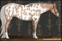 Horse Color:Silver Brown Pearl Near Leopard 