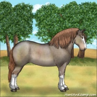 Horse Color:White Spotted Liver Red Dun Roan 