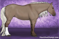 Horse Color:Liver Red Dun Mushroom 