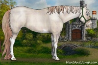 Horse Color:Plaid Liver Red Dun Roan Pearl Sabino