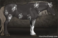 Horse Color:White Spotted Liver Chestnut Mushroom 
