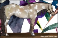 Horse Color:White Spotted Liver Red Dun Rabicano 