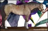 Horse Color:White Spotted Liver Red Dun Rabicano Brindle 