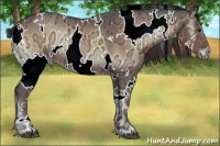 Horse Color:White Spotted Liver Red Onyx Ice 