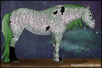 Horse Color:Watercolor White Spotted Buckskin Ice Onyx