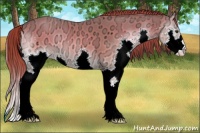 Horse Color:Red Onyx Ice Splash 