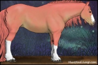 Horse Color:Watercolor Liver Chestnut 