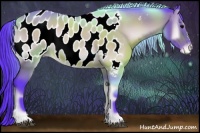 Horse Color:Watercolor Bay Onyx Appaloosa Rabicano 