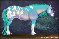 Horse Color:Watercolor Brown Onyx Appaloosa 