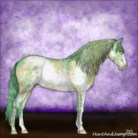 Horse Color:Watercolor White Spotted Liver Chestnut Ice Frame 