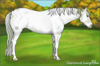Horse Color:Watercolor White Spotted Chocolate Palomino Ice Onyx Tobiano Frame 
