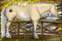 Horse Color:White Spotted Gold Cream Champagne 