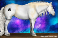 Horse Color:White Spotted Gold Cream Champagne 