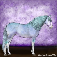 Horse Color:Watercolor White Spotted Silver Buckskin Ice Onyx Mushroom Sabino Rabicano 