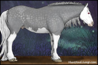 Horse Color:Silver Classic Champagne Chinchilla Splash 