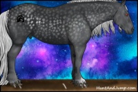 Horse Color:Silver Black Chinchilla