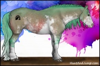 Horse Color:Watercolor Buckskin Sabino 