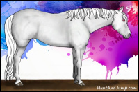 Horse Color:Chestnut Chinchilla Tobiano 