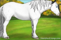 Horse Color:Black Splash Tobiano Snowcap 