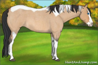 Horse Color:Bay Roan Dun Splash Tobiano
