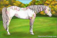 Horse Color:Silver Bay Ice Sabino Frame Varnish 