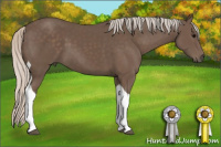 Horse Color:Silver Black Tobiano