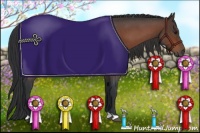 Horse Color:Bay Roan 