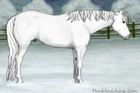 Horse Color:Gray Black Ice Splash 
