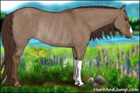 Horse Color:Liver Red Dun Rabicano