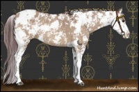 Horse Color:Chocolate Brown Dun Sabino 