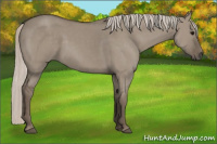 Horse Color:Silver Grullo 