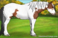 Horse Color:Bay Tobiano Frame