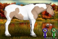 Horse Color:Bay Dun Tobiano 