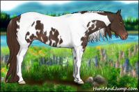 Horse Color:Liver Chestnut Tobiano Near Leopard 