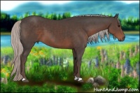 Horse Color:Silver Black 