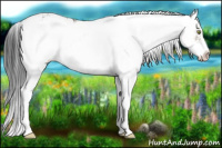 Horse Color:Brown Sabino Appaloosa